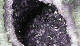 Purple Amethyst Geode - Uruguay #66711-3
